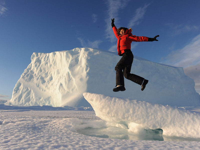 Arctic Kingdom MICHELLE VALBERG_AK_narwhal