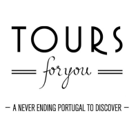 Tours For You Logo Website