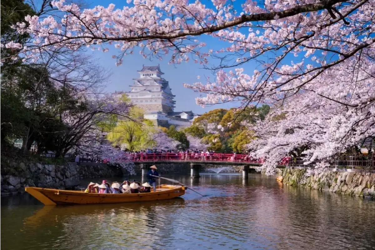 A boat travel experience on a river in Japan